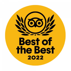 trip advisor awards for florida